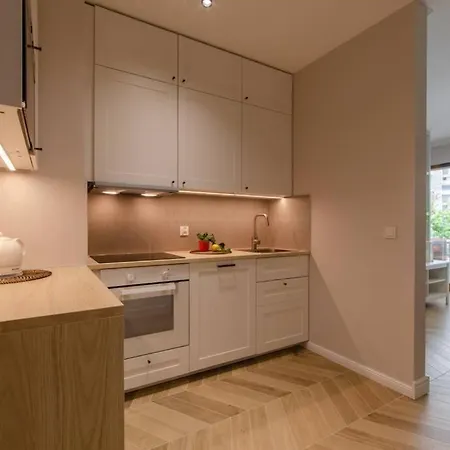 Luksusowa Oaza W Samym Centrum Wroclawia ヴロツワフ