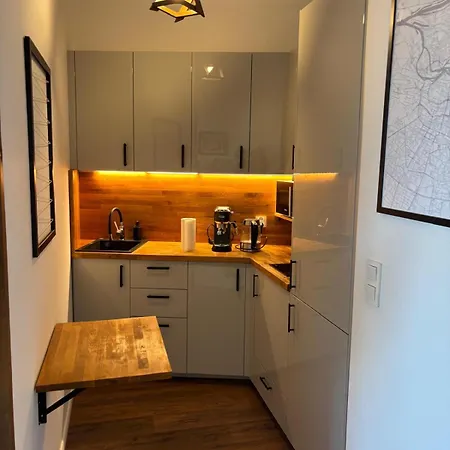 Luksusowa Oaza W Samym Centrum Wroclawia アパート ヴロツワフ